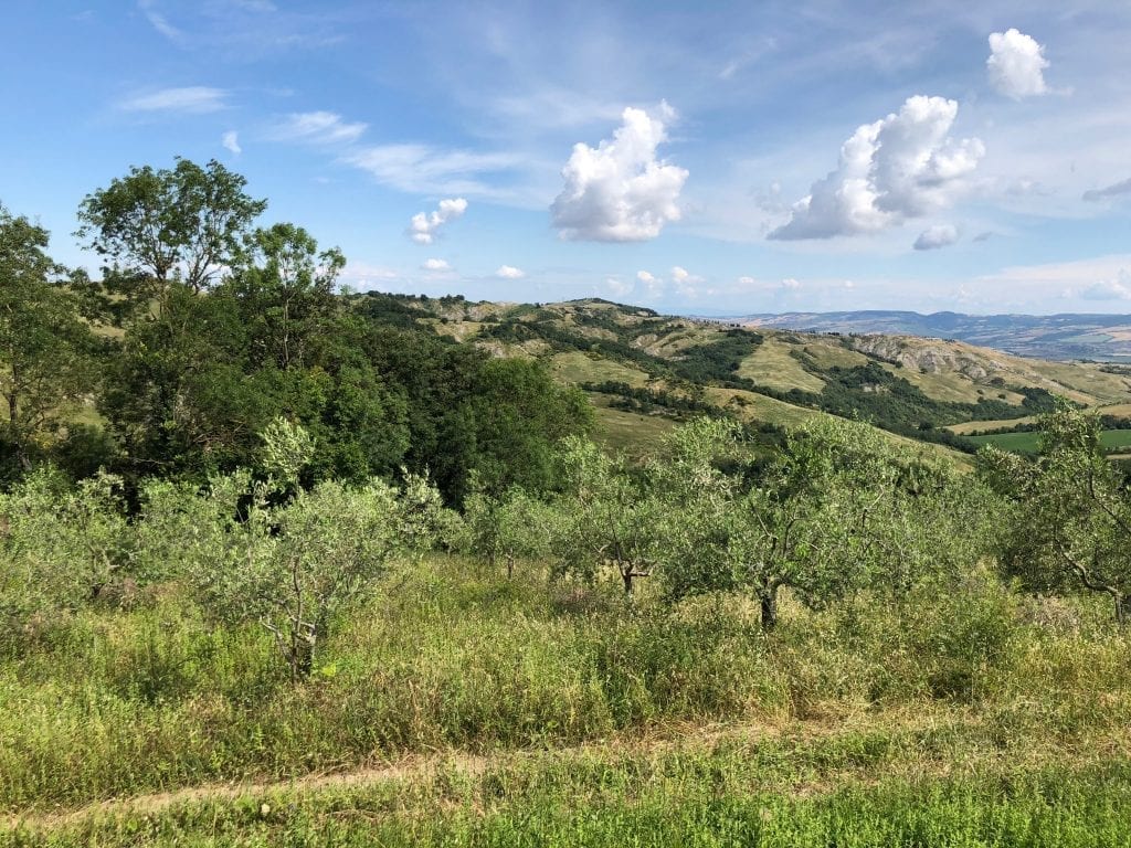 How To Experience An Agriturismo In Bologna – Visiting The Colli Bolognesi